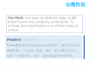 热搜看海外7月刊：马斯克改Twitter为“X”；西游记IP海外大火 | 探舆论场