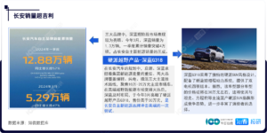 中国新能源汽车行业重点企业追踪与市场情报分析（2024年3月）