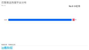 巴黎奥运会：松弛感or“草台班子”？ | 探舆论场