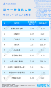 专题报告：Buy or 不Buy，2024双十一洞察 | 探舆论场