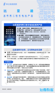 中国新能源汽车行业重点企业追踪与市场舆情分析（2025年5月）