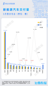 中国新能源汽车行业重点企业追踪与市场舆情分析（2025年5月）