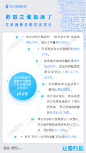 专题报告：苏超是“蓄谋已久”的体育+文旅探索｜探舆论场