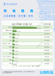 行业研究：2025新能源汽车半年报 | 探舆论场