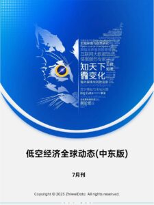 专题报告：低空经济全球动态（中东版）7月刊 | 探舆论场