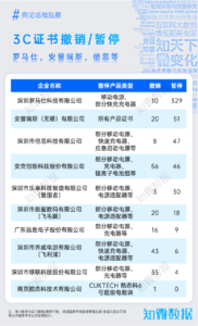 专题报告：罗马仕“烧起”的充电宝行业之“火”｜探舆论场