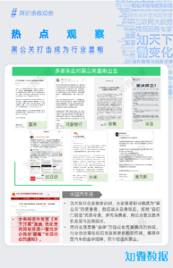 行业研究：2025新能源汽车半年报 | 探舆论场