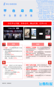 专题研究：小红书平台观察（2025Q2）｜探舆论场